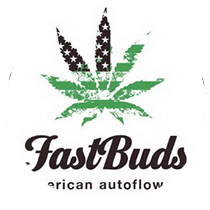 Northern Express Auto Fast Buds Seeds FEM | Original Seeds Store