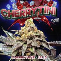 Cherry Tini S1