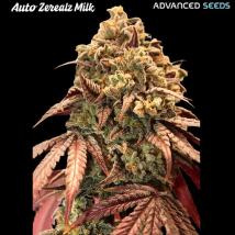 Auto Zerealz Milk