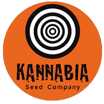 Buy Kannabia Seeds Random Free Seed FEM