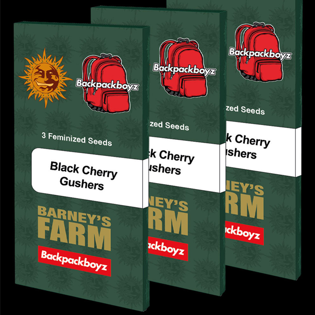 Buy Barney Farm Seeds Black Cherry Gushers FEM