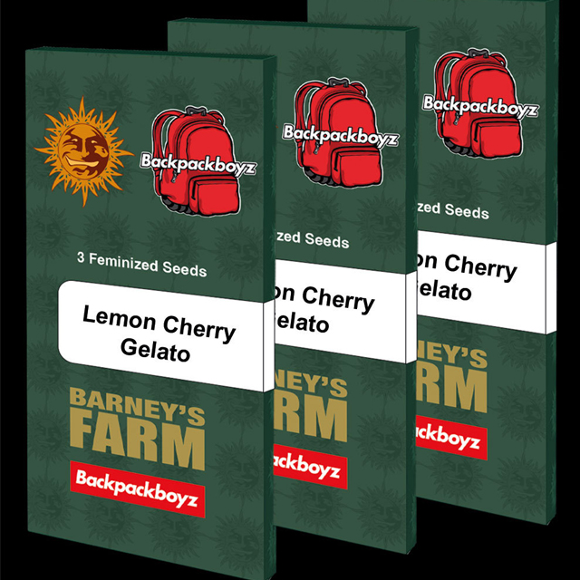 Buy Barney Farm Seeds Lemon Cherry Gelato FEM